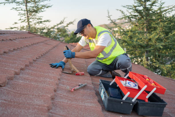 Roof Gutter Cleaning in Penn Yan, NY